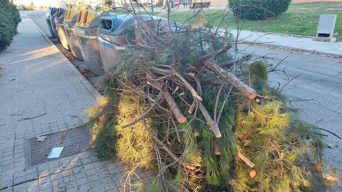 El regidor ha lamentado que aparezcan restos de poda junto a los contenedores