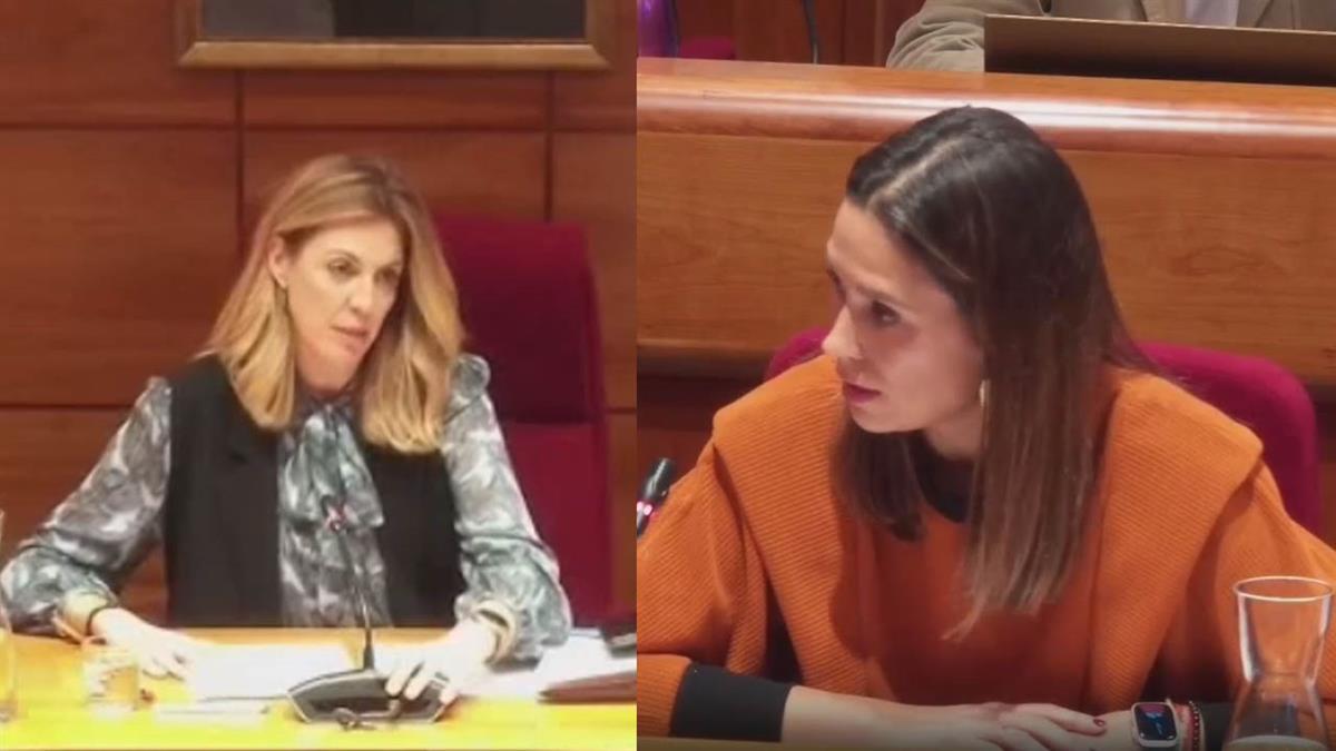 El Pleno de Pozuelo rechaza la moción de VOX para combatir esta situación