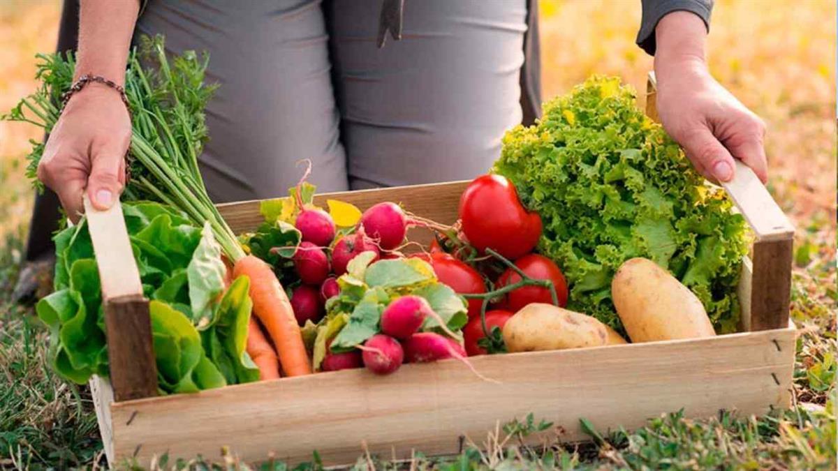 Si eres residente tienes que mandar un correo electrónico antes del 10 de julio 