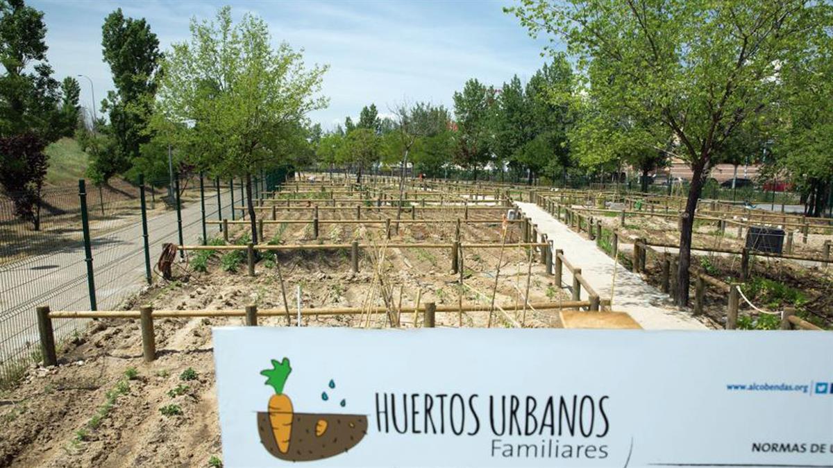 Tras el proceso de presentación de solicitudes, el próximo jueves 21 tendrá lugar la adjudicación 