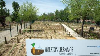 Tras el proceso de presentación de solicitudes, el próximo jueves 21 tendrá lugar la adjudicación 