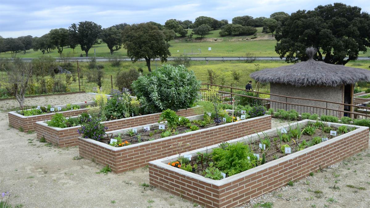 Ahora tienes la posibilidad de disfrutar de estos espacios 