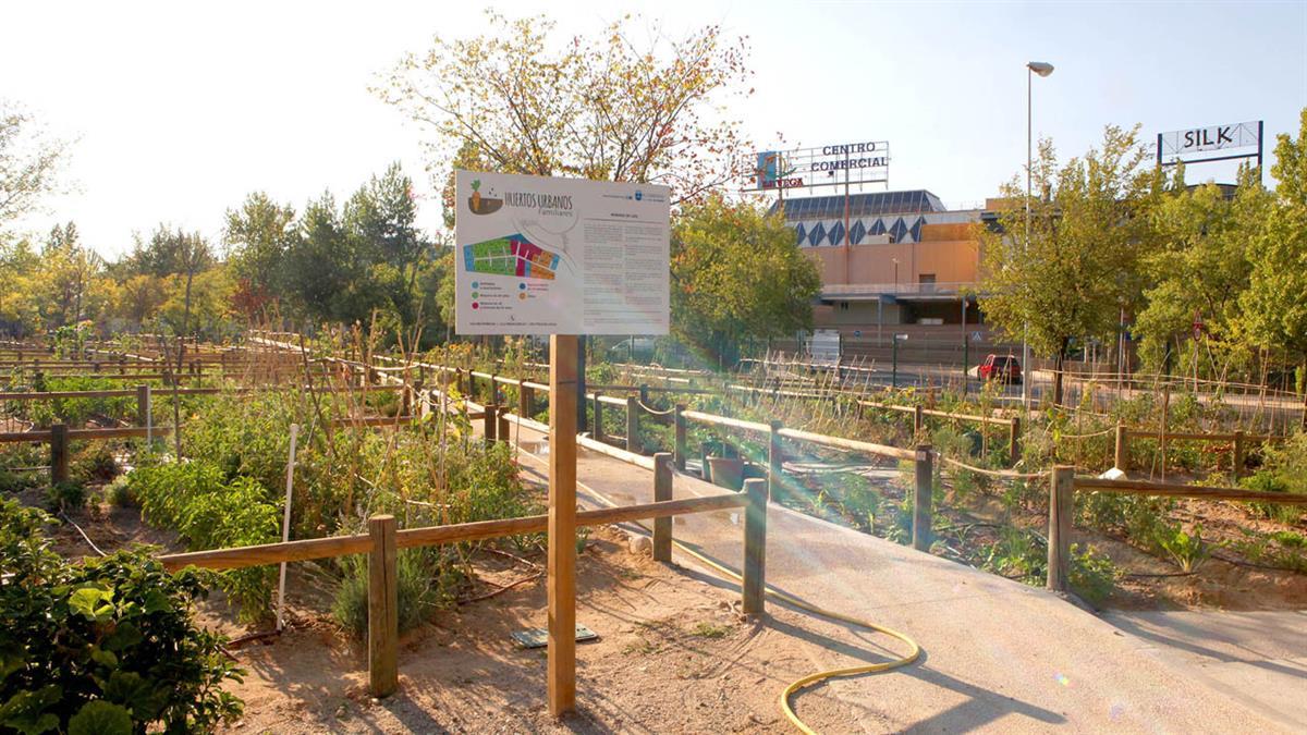 Los adjudicatarios de los huertos podrán hacer uso de sus parcelas desde el 1 de noviembre de 2022 hasta el 30 de octubre de 2025