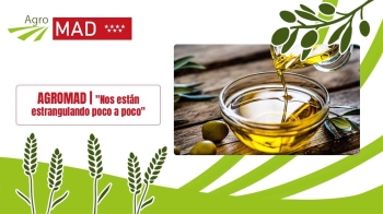 Aceites Pósito nos da las claves sobre una campaña que viene envuelta en un contexto complicado