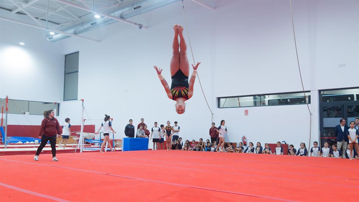 Las subvenciones están destinadas a cubrir los gastos de desplazamiento de los clubes locales en sus competiciones oficiales de ámbito nacional