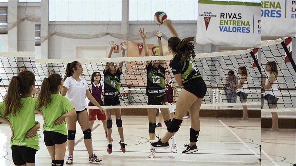 El plazo de presentación de solicitudes termina el próximo 15 de septiembre
