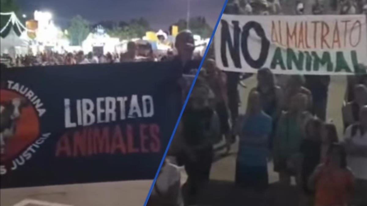 El PSOE habla de "boicot a las Fiestas del agua" por parte de la plataforma Parla Animalista