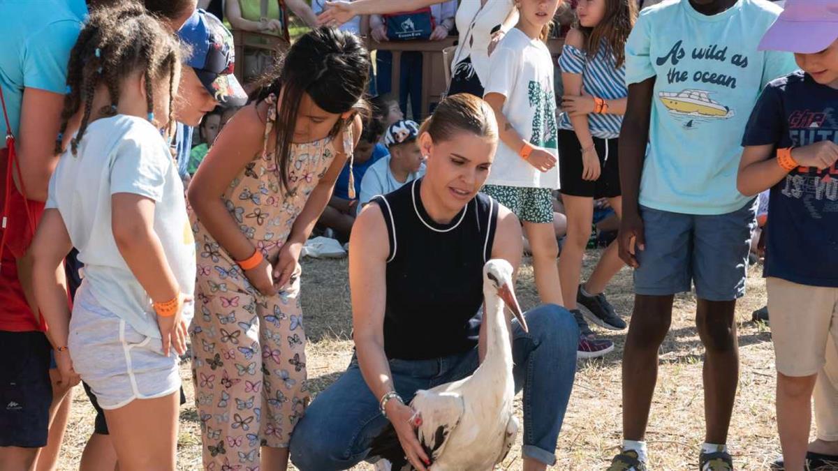 Recuperados en el Hospital de Fauna Salvaje