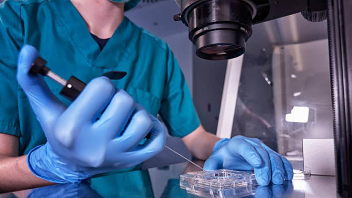 El hallazgo puede ayudar a elaborar vacunas y tratamientos frente a diferentes coronavirus
