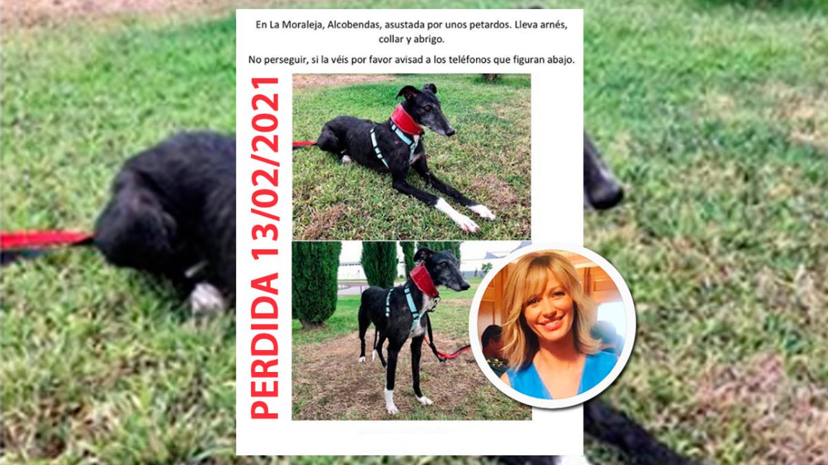 La presentadora ha realizado un llamamiento a través de redes sociales