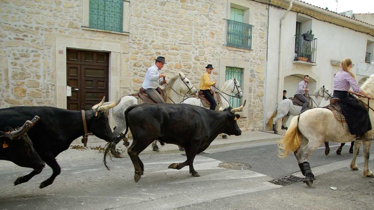 Las actividades de feriantes y actividades culturales con los ayuntamientos se mantendrían 