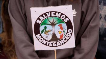 El partido municipal sospecha de los populares en el "crimen ambiental" de Montegancedo
