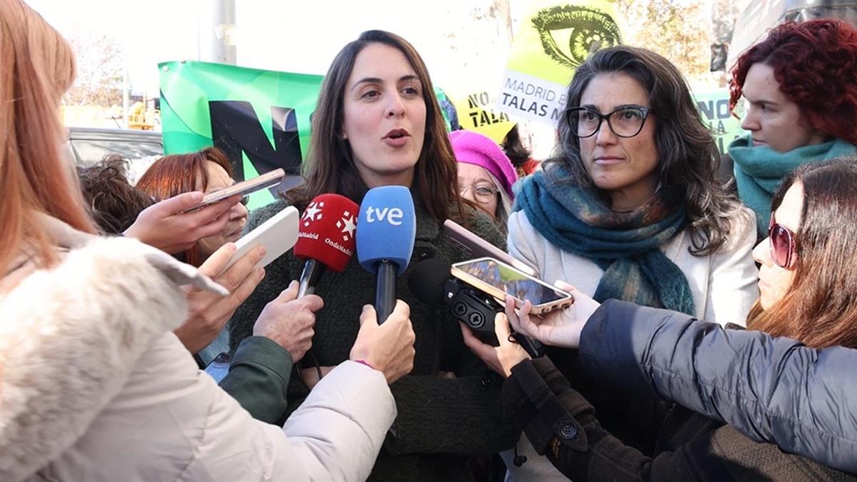 Maroto envía una carta a ICOMOS mientras que Maestre habla de "ensañamiento" contra el arbolado