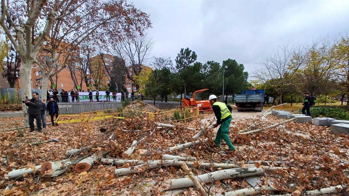 Las estaciones de Madrid Río se llevarán por delante 523 árboles, que se reemplazarán con 14.000 nuevos ejemplares en toda la ciudad