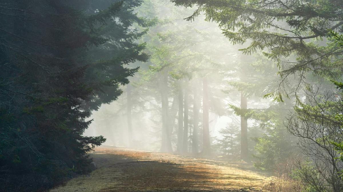 Nueva actividad que ofrece Valdemorillo para los niños y jóvenes 