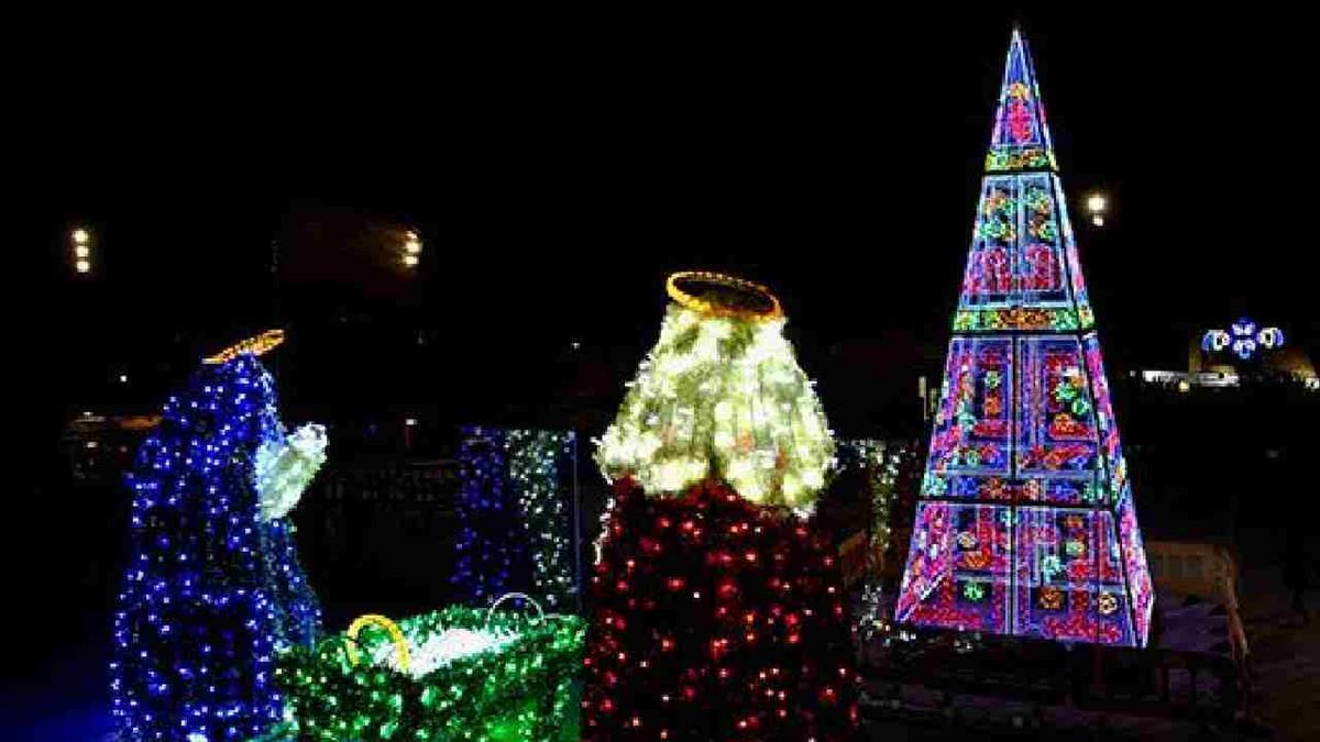 Las familias aprenderán a crear y cuidar su propio huerto en casa