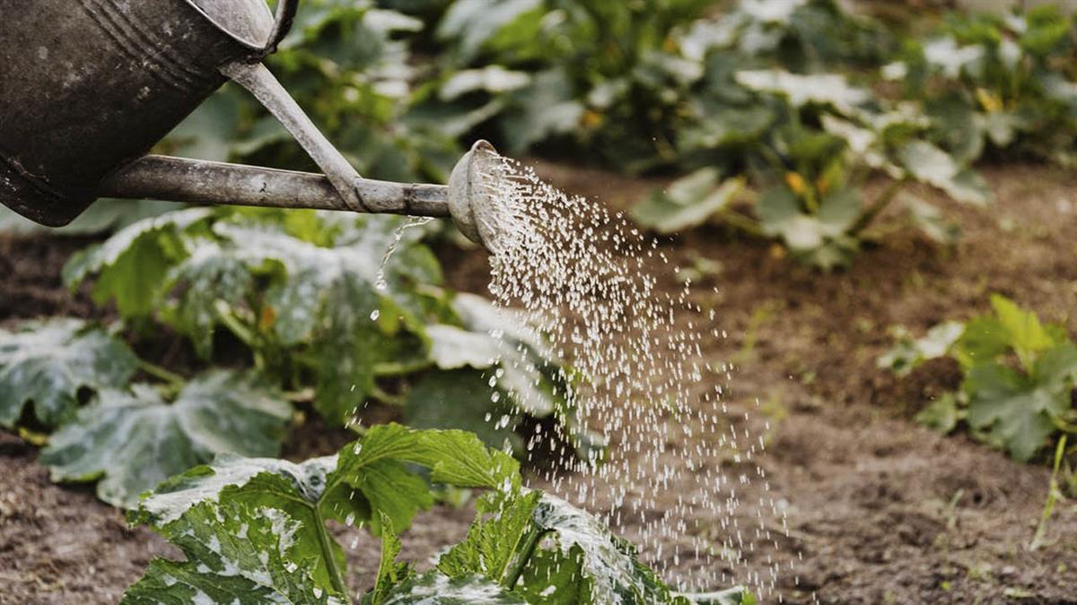 Naturaleza, títeres y cocina son las propuestas familiares ofertadas por el Ayuntamiento