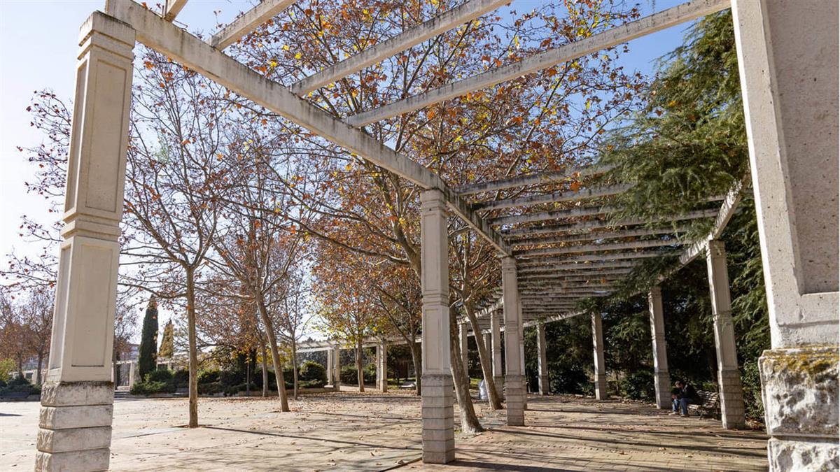 Las actividades tratarán sobre micología, ornitología y fauna, entre otros