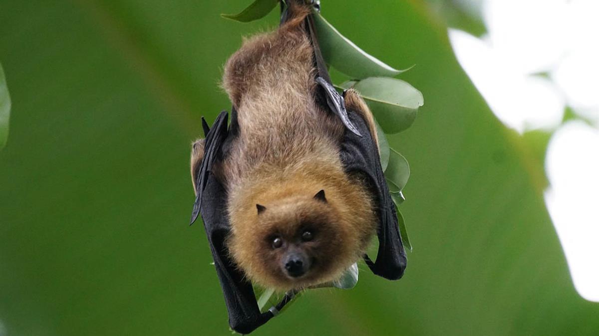 ¡Apúntate a los próximos talleres medioambientales!