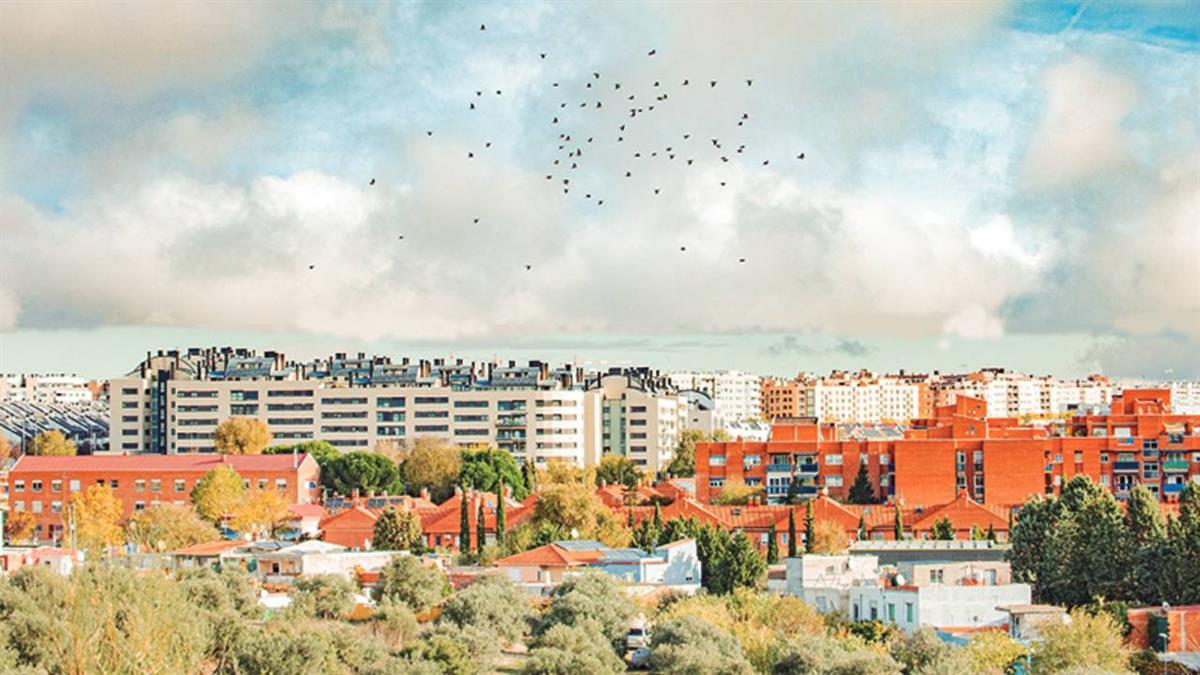 Se trata de la segunda mejor cifra registrada en la última década