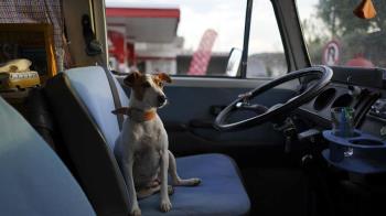 Con multas desde los 80 hasta los 500 euros