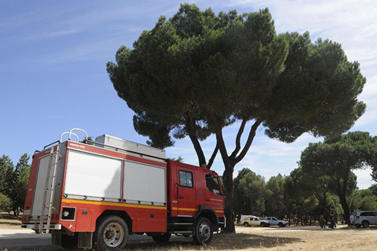 Desde el pasado 21 de junio, se han producido incendios en una superficie de unos 1.000 metros cuadrados