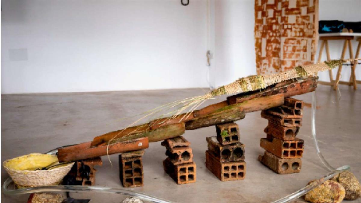 Se trata de una muestra donde la naturaleza, el tiempo y la memoria dialogan con la mirada crítica de las artistas