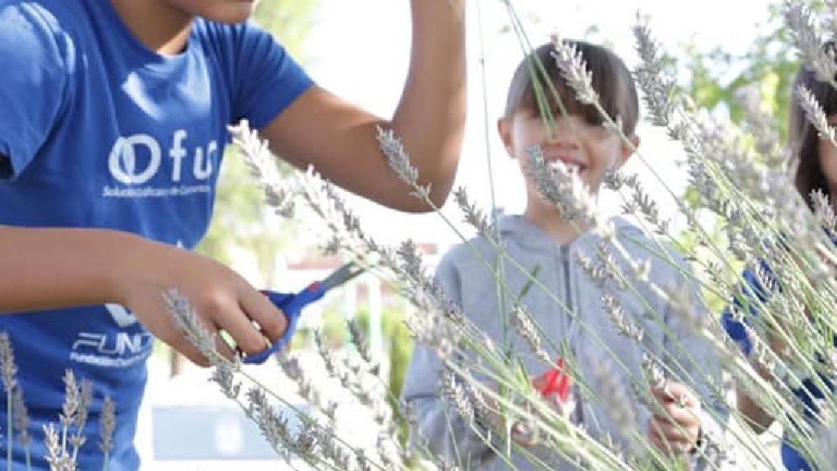 Aprendizaje y diversión para niños, apoyo para la conciliación familiar

