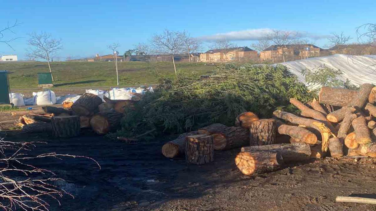 Las pérdidas por el coste y el daño patrimonial que sufrió Majadahonda con el paso de Filomena ascienden a 14 millones de euros