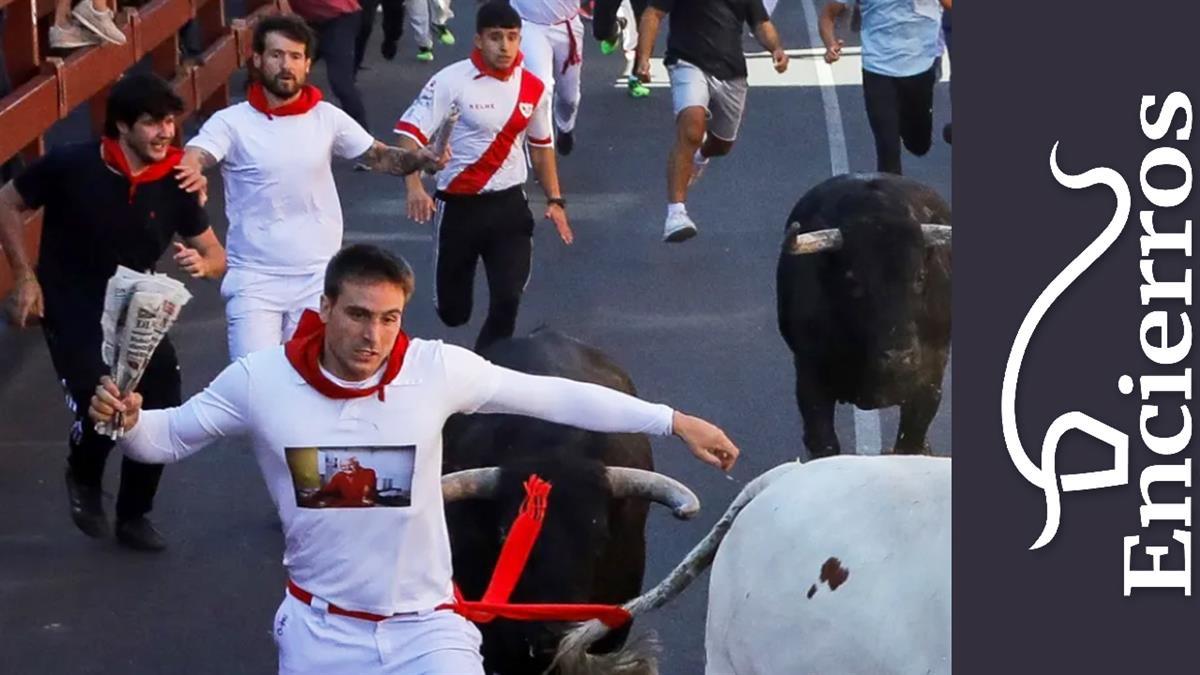 La labor de los pastores ha sido fundamental en la segunda parte de la manga