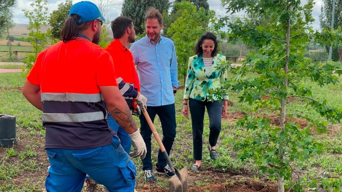 En los últimos 4 años se han plantado 12.557 árboles 