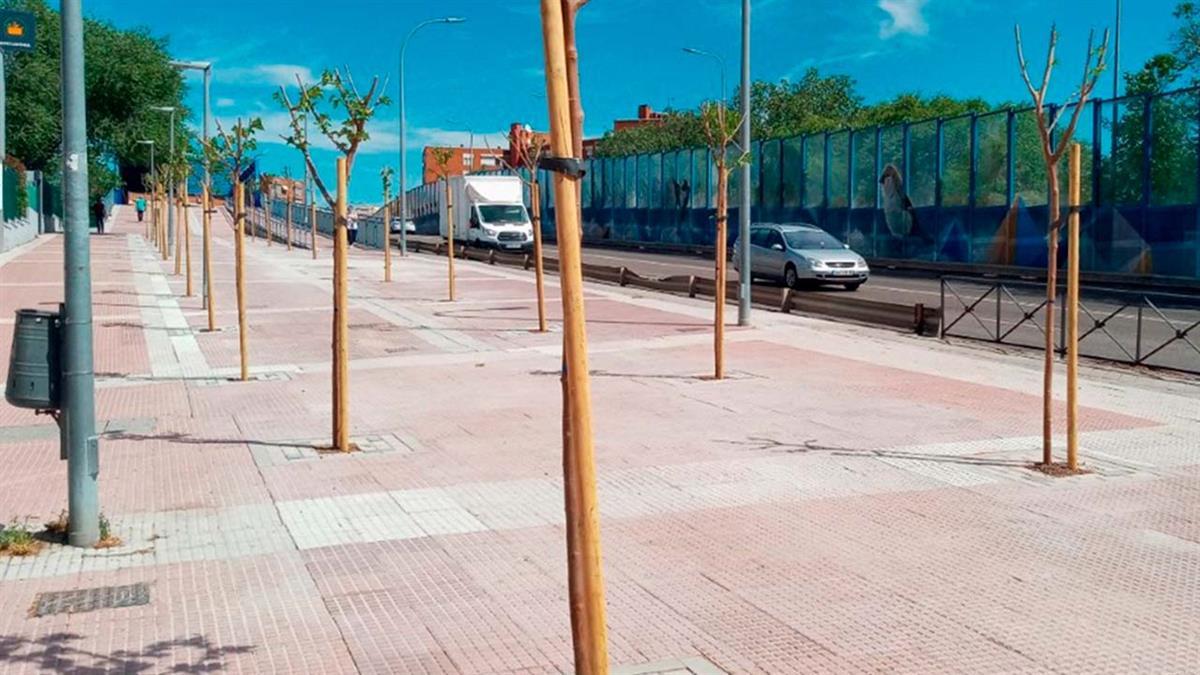 El objetivo de este plan es llevar a estas zonas de gran tránsito de vecinos arbolado y vegetación a través de la plantación de nuevos árboles