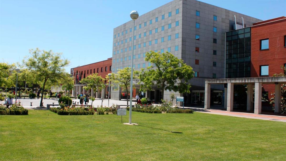 El galardón se ha otorgado en el XXX Congreso Nacional de la Sociedad de Angiología