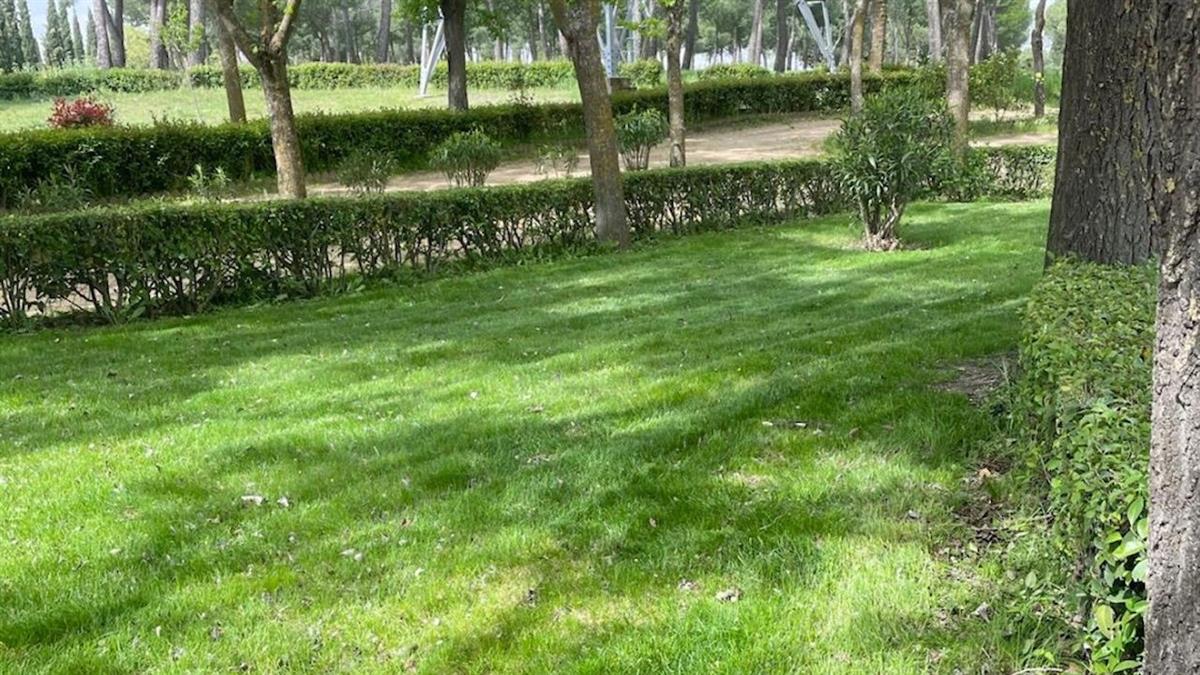 El Ayuntamiento prepara las zonas verdes del municipio para que los vecinos puedan disfrutar de ellas