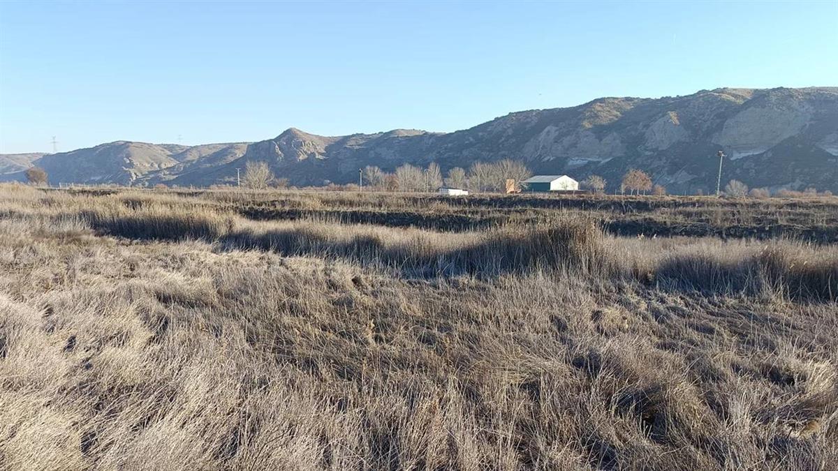 Actualmente el terreno lo ha adquirido la  Fundación Global Nature 