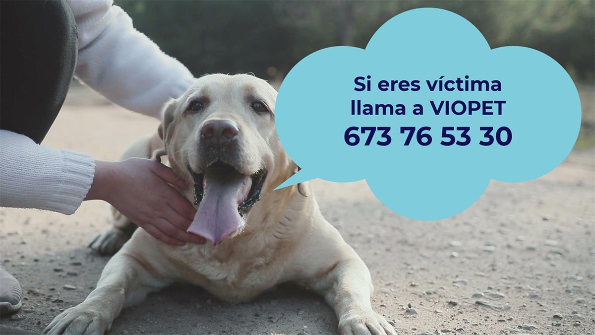 Podemos consigue la adhesión de un programa para la protección de animales de compañía de mujeres maltratadas 