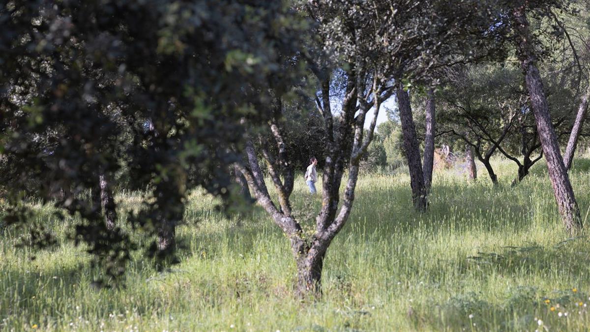 El Ayuntamiento ha editado folletos informativos para informar de las zonas verdes que tiene el municipio