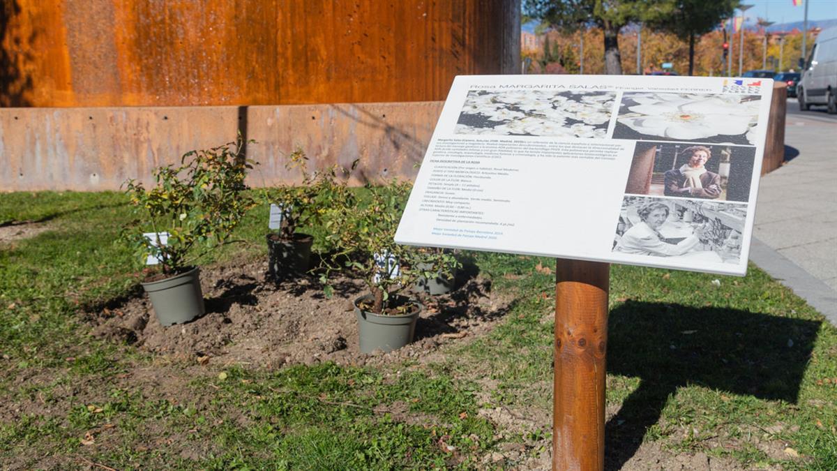 La científica española será así reconocida con la plantación de la flor que lleva su nombre 