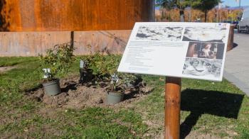 La científica española será así reconocida con la plantación de la flor que lleva su nombre 