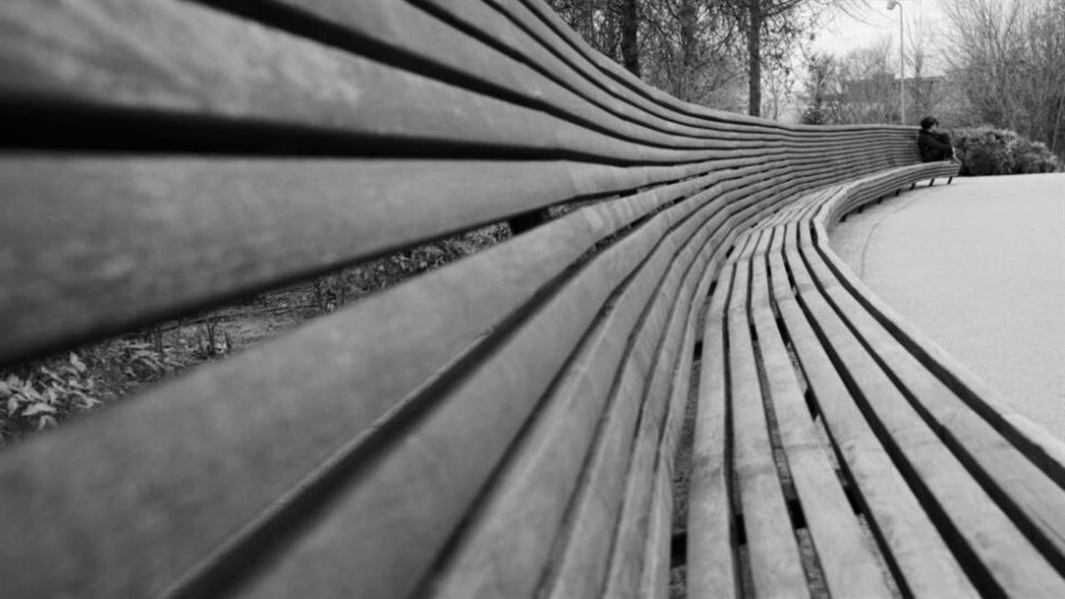 Han organizado diversas charlas, cortos de cine o exposiciones 