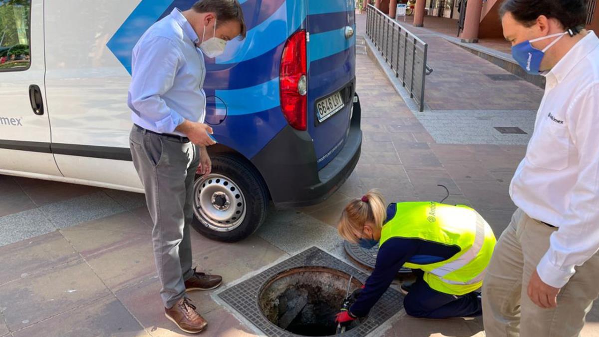 El Ayuntamiento ha iniciado una campaña para el control de su proliferación