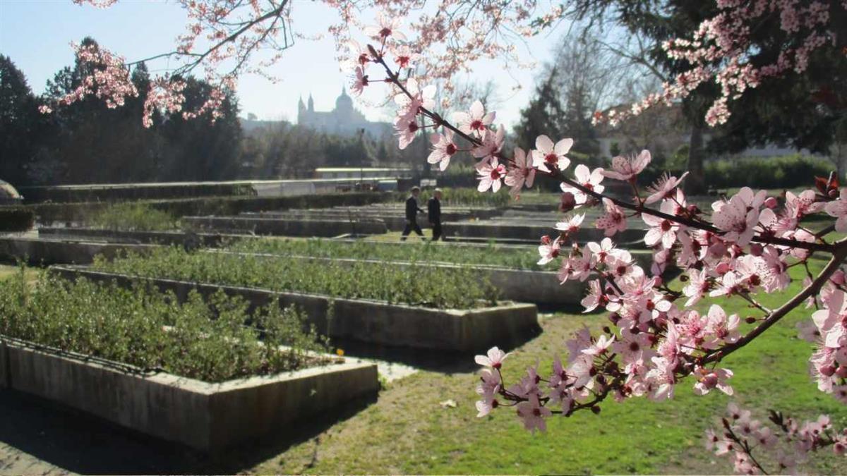 Una iniciativa en colaboración con los viveros y centros culturales municipales