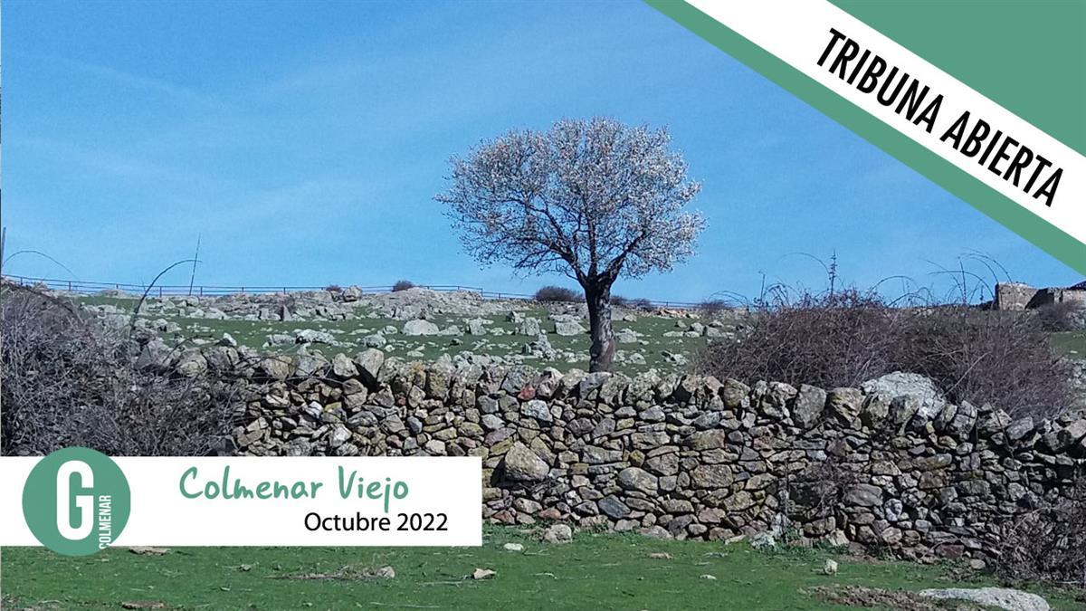 Ganemos quiere recuperar y mantener las construcciones de piedra seca en Colmenar