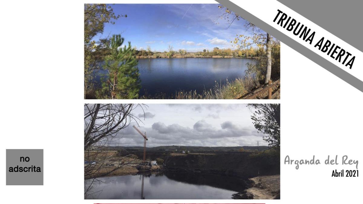 5 años después de nuestra moción se hará realidad el Consejo de Medio Ambiente