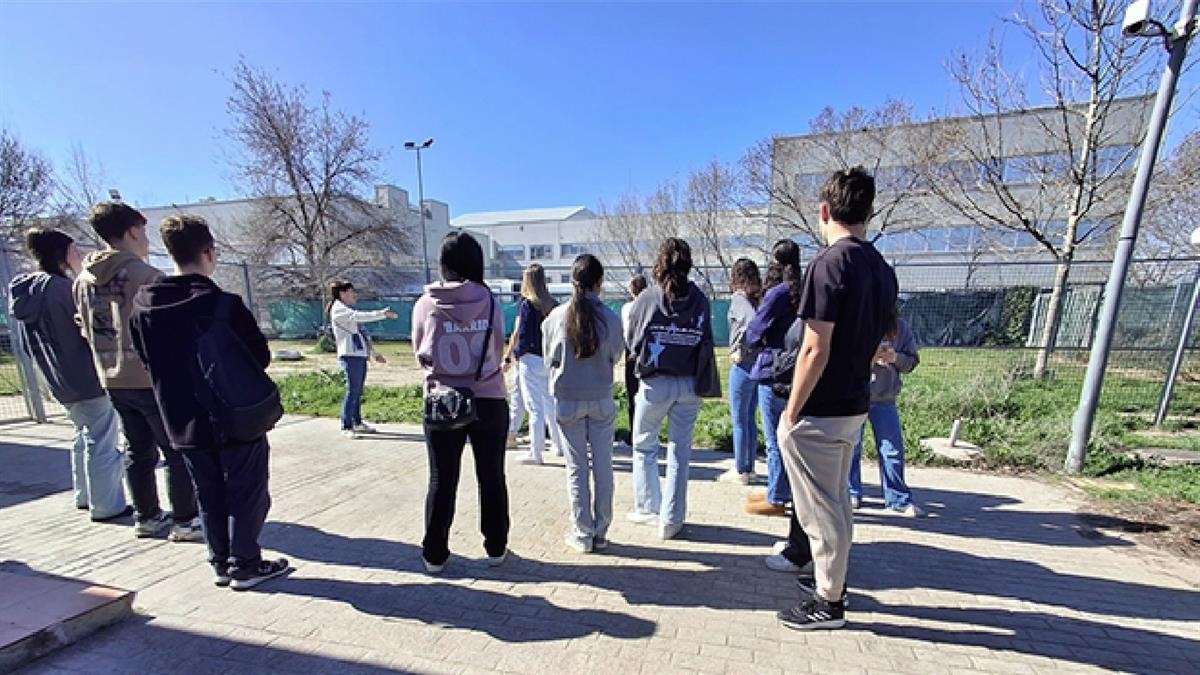 Cerca de 5.300 jóvenes participaron en las propuestas del área de Juventud