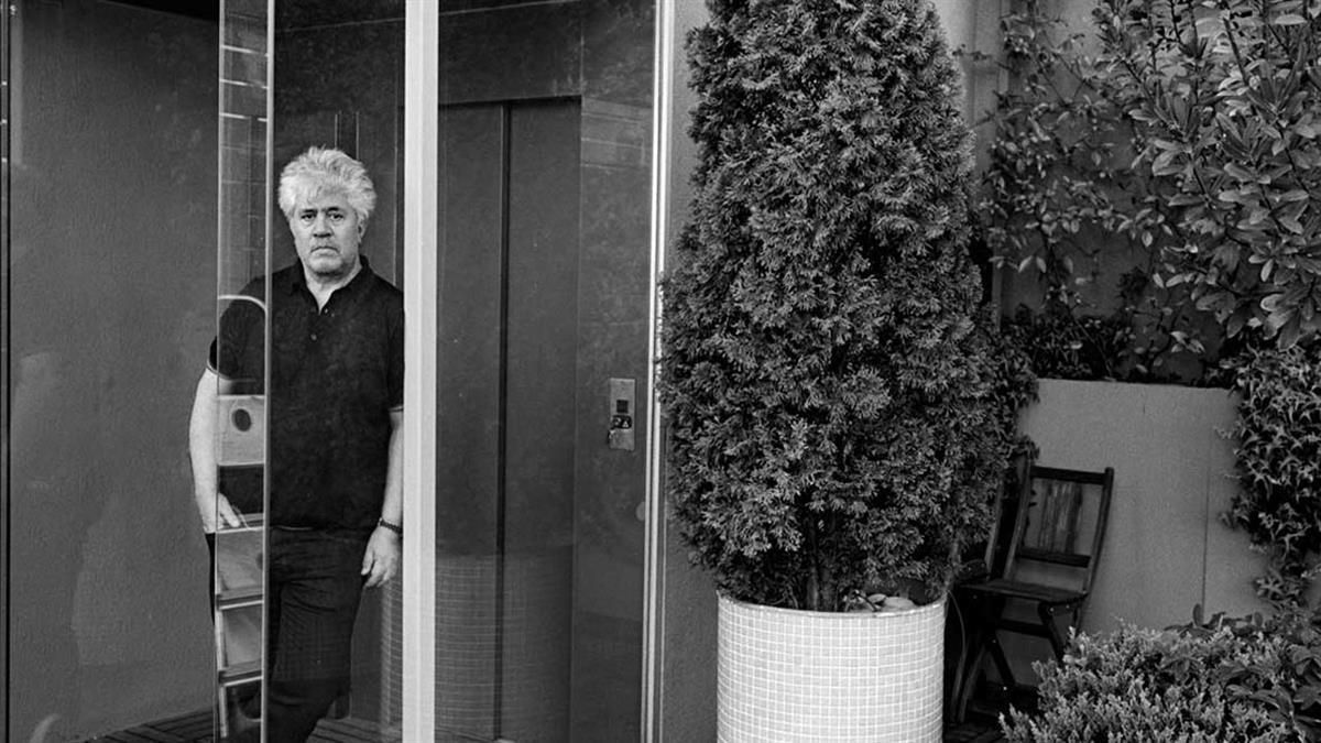 Unas exposiciones que conmemoran el 50 aniversario del Festival de Cine de Alcalá