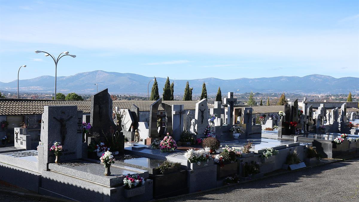 Se realizará una entrega de flores en la entrada a los cementerios 