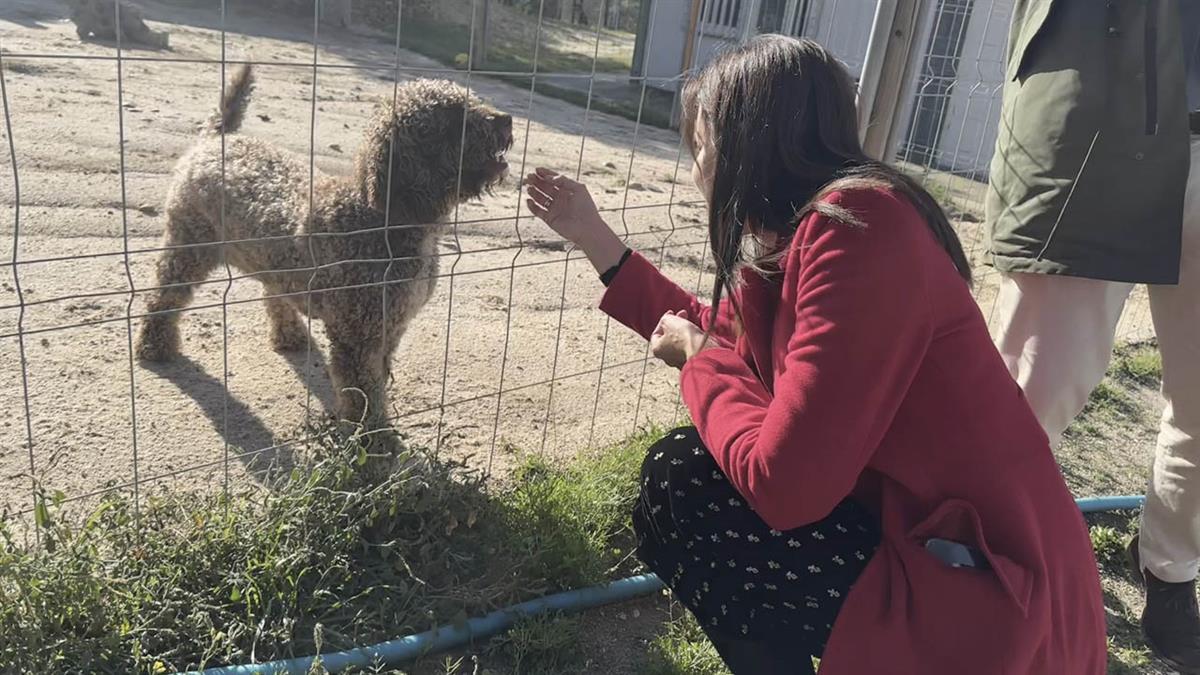 Con avances en prestaciones, instalaciones y en la acogida 