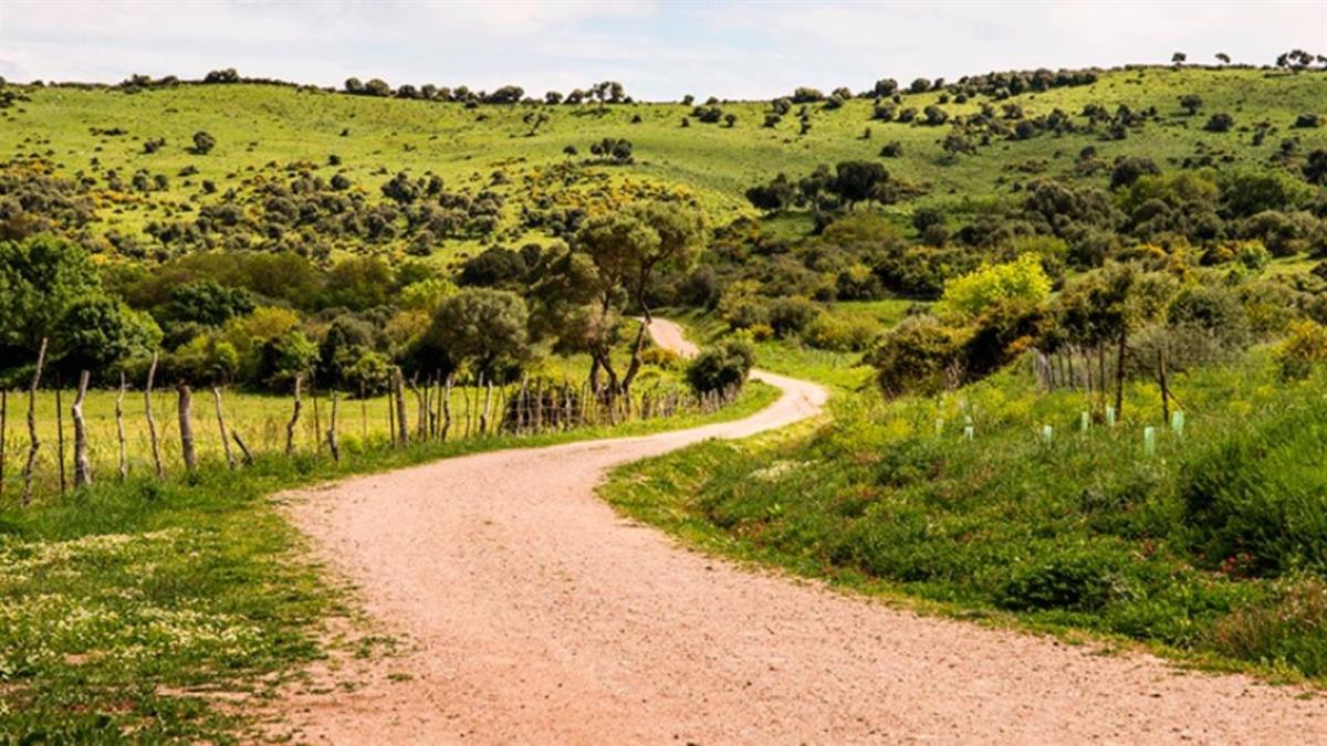 Un convenio permitirá la restauración ecológica de parcelas y áreas verdes