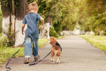 Los niños con perro tiene menos probabilidades de tener problemas para interactuar con otros niños y compartir